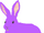 Dandelion the Violet Flower Purple Hare
