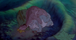 Littlefoot Cera Petrie Ducky and Spike Sleeping