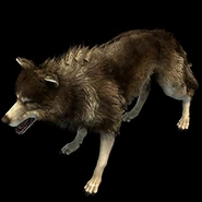 Age of Empires II: Definitive Edition (2019)