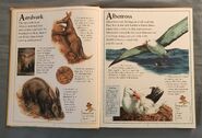 The Kingfisher First Animal Encyclopedia (1)