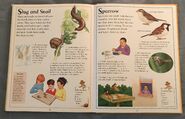 The Kingfisher First Animal Encyclopedia (66)