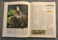 The Kingfisher Illustrated Encyclopedia of Animals (103)