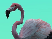 Greater-flamingo-zootycoon2018