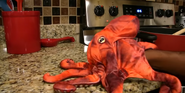 SML Octopus02