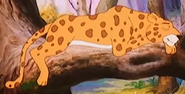Simba the king lion leopard