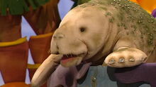 BlanchetheManatee.jpg