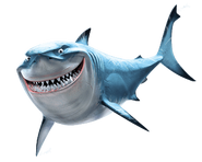 Bruce (Shark)