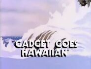 Gadget Goes Hawaiian (December 21, 1989)
