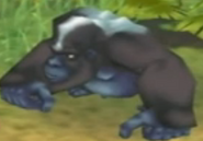 Eastern Gorilla/Mountain Gorilla