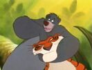 Jungle-cubs-volume01-baloo-and-sherekhan03