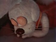 Peter Cottontail was sleeping on his big toe