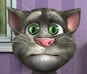 Talking Tom