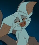 Bartok as Philoctetes