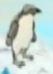 Blue's Clues Penguin