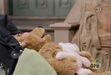 Curly Bear sleeping in episode 4078