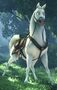 Maximus as Buttercup