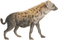 RWA Hyena.png (662 KB) Spotted Hyena