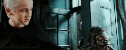 Don't toch angthing draco