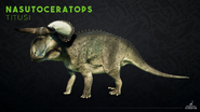 Nasutoceratops titusi