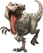 Rudy AB.png (120 KB)