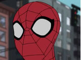 Spider-Man (Kick-ass) (Sonicboom1234)