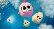 Zoe, Vincent and Samantha (The Angry Birds Movie 2)