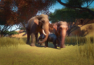 Indian-elephant-planet-zoo