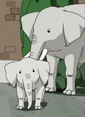 PPGZ Elephants.png (109 KB)