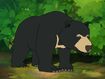 Rileys Adventures Sun Bear