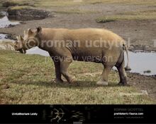 Uintatherium-Leidy-738x591.jpg