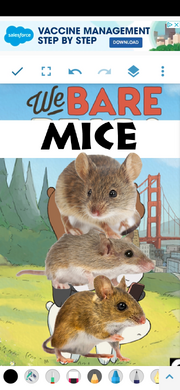 We Bare Mice Poster.png