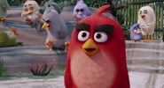 Angry-birds-disneyscreencaps.com-894