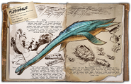 Dossier Plesiosaur