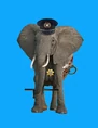 Elephant cop by uranimated18-d8s9gg8.jpg (97 KB)