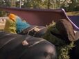 Oscar and a Honker sleeping in Follow That Bird