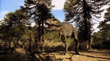 Tyrannosaurus Rex.jpg