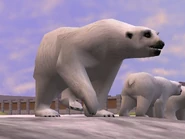 Zt2-polarbear.jpg (344 KB)