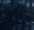Aladdin 2019 Elephant.png (21 KB)
