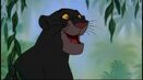 Bagheera the Black Panther