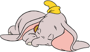 Dumbo6