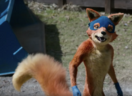 Swiper from 2019 Film