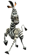 Marty the Plains Zebra