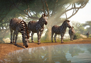 Plains-zebra-planet-zoo