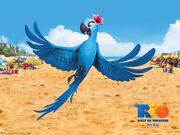 4181830-jewel-in-rio-movie-normal