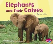 Elephants and their Calves.jpg (11 KB)