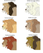 Lion subspecies