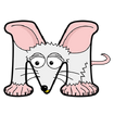 House Mouse