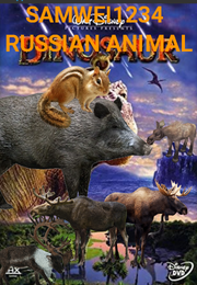 RSSINA Poster.png