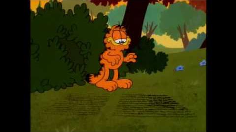 The Many Adventures of Garfield the Cat