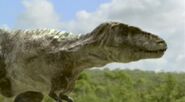 WWDTBC Tarbosaurus Batar